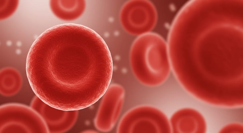 HCM Alto: O Que Significa e Quais as Causas Dessa Alteração no Hemograma?